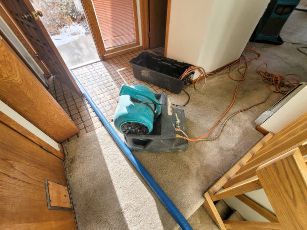 Professional Water damage restoration in MI