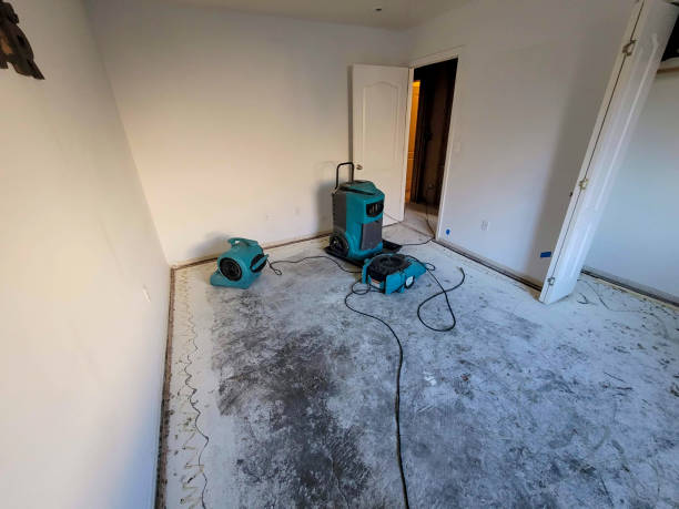 Best Basement water damage restoration  in Grosse Pointe Park, MI