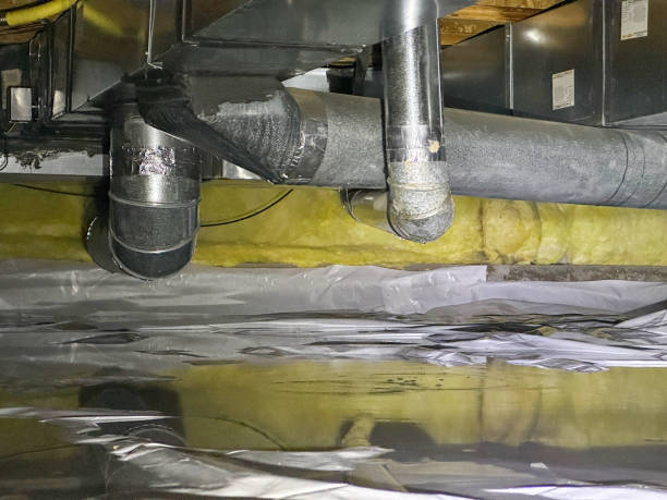 Best Sewage cleanup and water damage restoration  in Grosse Pointe Park, MI