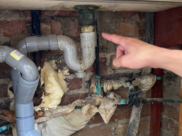 Best Mold removal after water damage  in Grosse Pointe Park, MI