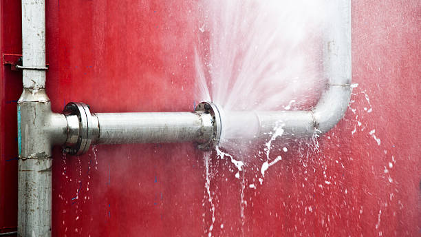 Best 24/7 water damage repair  in Grosse Pointe Park, MI